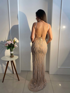 Imagem de Vestido prata com nude